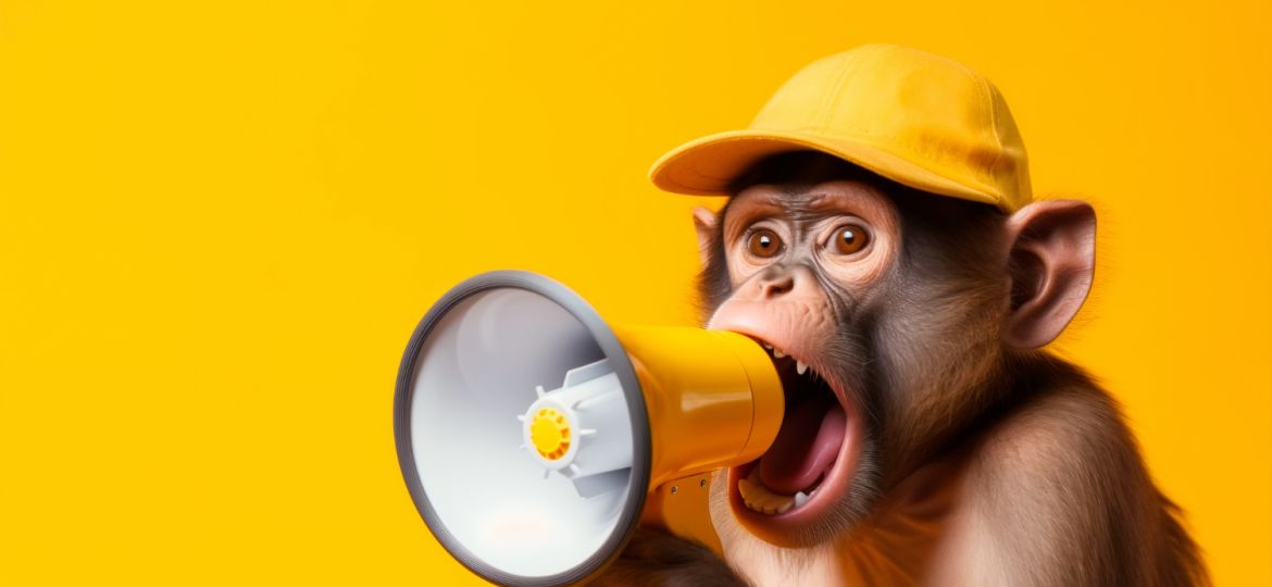 mailchimp betalen of niet